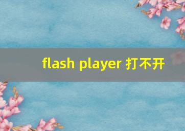 flash player 打不开